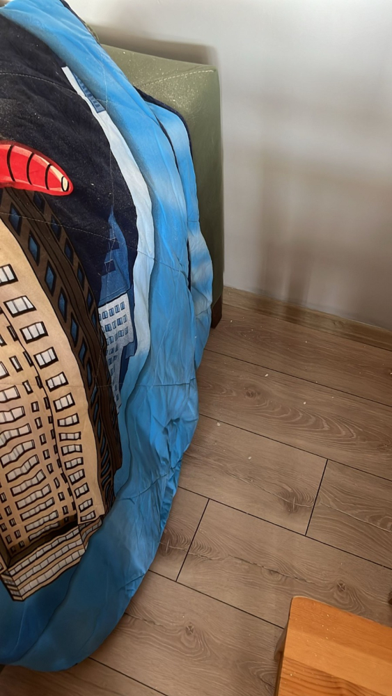 Bursa'da bir eve yorgun mermi isabet etti