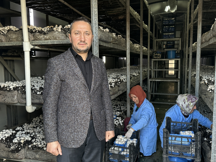 Devlet desteğiyle kurdukları tesiste 200 ton kültür mantarı üretiyorlar