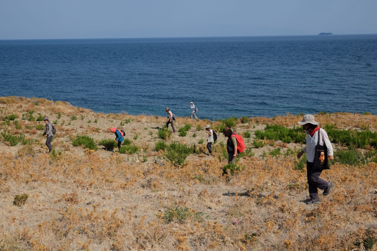 İzmir'deki yüzey araştırması 11 bin yıl öncesine ışık tutuyor