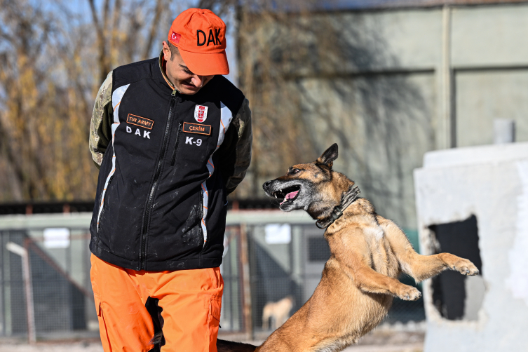 TSK'nın arama kurtarma köpekleri doğal afetlerde can kurtarıyor