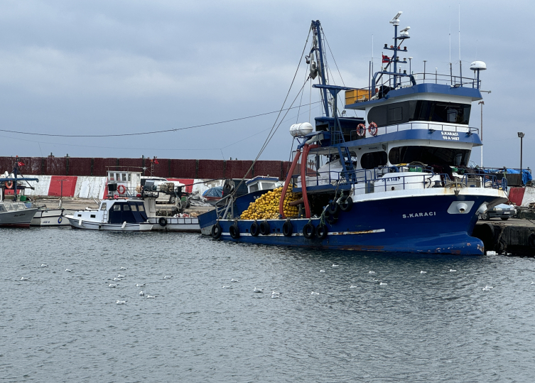 Marmara'da umduğunu bulamayan balıkçılar Karadeniz'e ağ attı