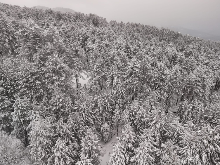 Kazdağları Milli Parkı’ndaki kar manzaraları dronla görüntülendi