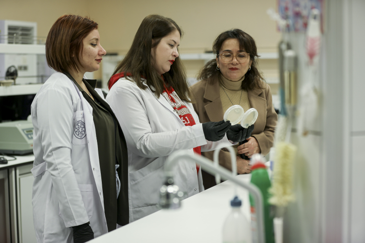 Gezeravcı'nın denediği CRISPR tekniğiyle bitkilerde verimliliğin artırılması amaçlanıyor