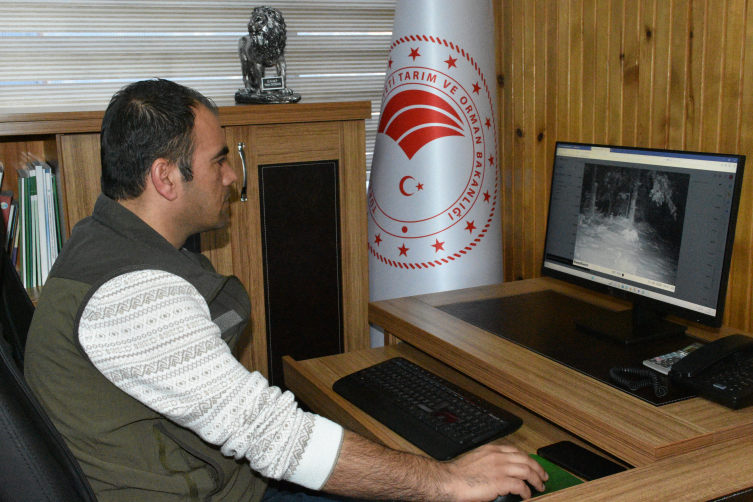 Fotokapanlar kaçak avcıları da izliyor