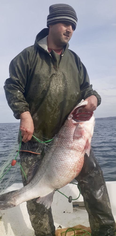 Sinop'ta balıkçılar 15 kilogramlık levrek avladı