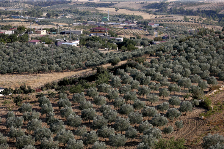 Toros Dağları'nın eteğindeki mahallede inşa edilen gölet yöre halkına "can suyu" olacak