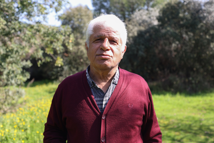 Antalya Körfezi'ndeki denizanası yoğunluğu incelemeye alındı