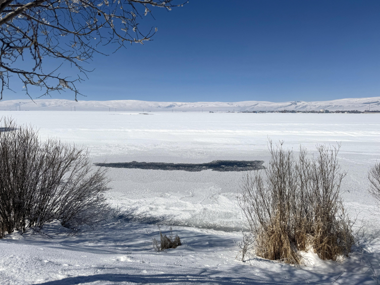 Batıda bahar doğuda kar: Ardahan eksi 34 dereceyi, Bodrum 25 dereceyi gördü
