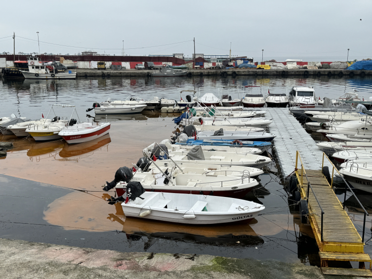 Tekirdağ'da planktonlar denizin rengini turuncuya çevirdi