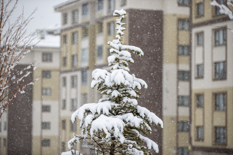 Doğu'da kar etkisini sürdürüyor