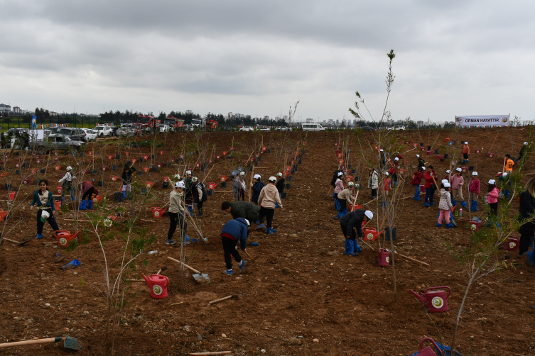 Adana ve Mersin'de Dünya Ormancılık Günü kapsamında fidan dikimi yapıldı