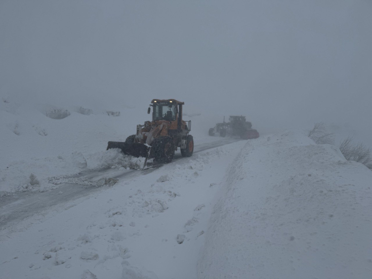 Ardahan-Artvin kara yoluna çığ düştü