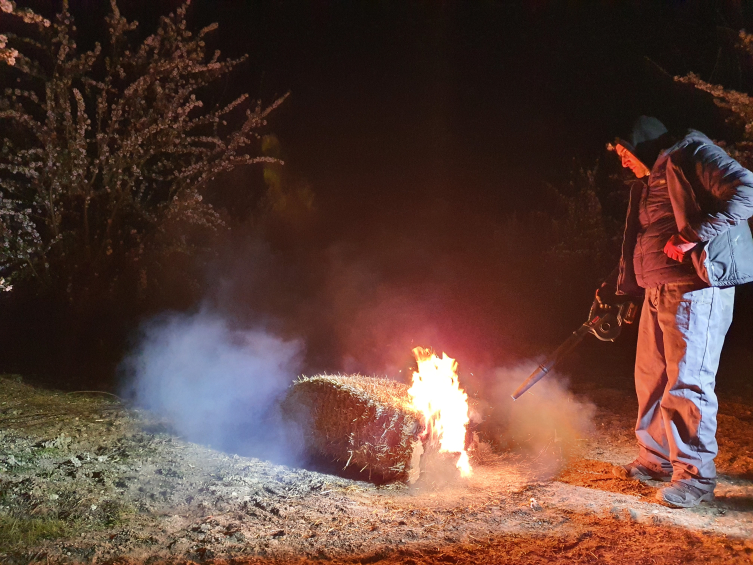 Manisa'da çiftçilerden zirai don nöbeti