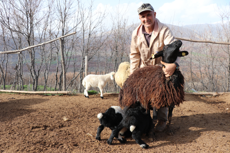 İstanbul'dan köyüne döndü, ailesinin 37 küçükbaş hayvanını 1100'e çıkardı