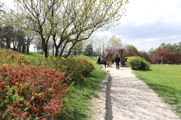 Kırşehir'deki Japon Bahçesi bayram tatilinde 14 bin kişiyi ağırladı