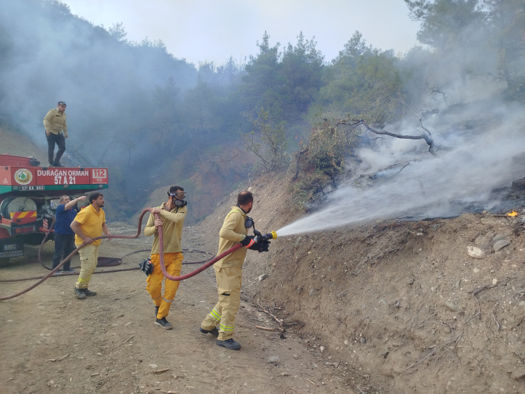 Sinop'taki orman yangını söndürüldü