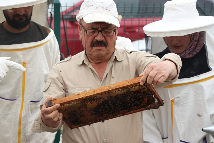 Karabük'te arıcılığa teşvik
