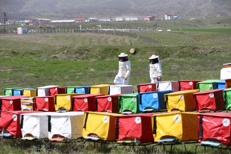 Olumlu hava Bingöllü arıcıları umutlandırdı