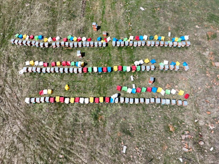 Olumlu hava Bingöllü arıcıları umutlandırdı