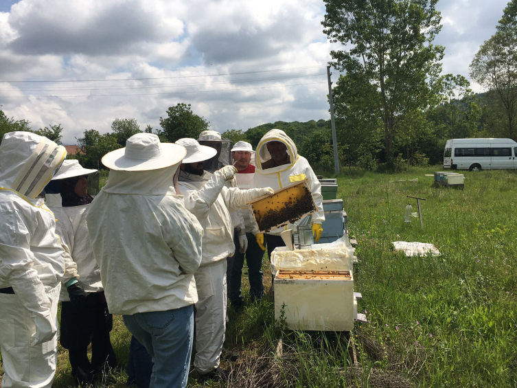 Yığılca'da arıcılık kursunda uygulamalı dersler başladı