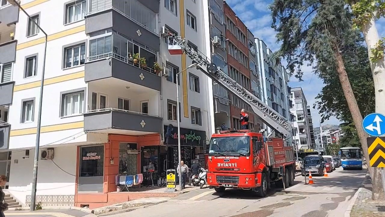 Amasya'da yuvadan düşen yavru serçenin imdadına itfaiye yetişti