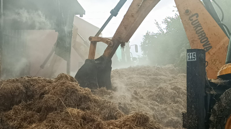 Adana'daki ahır yangınında 15 büyükbaş hayvan telef oldu