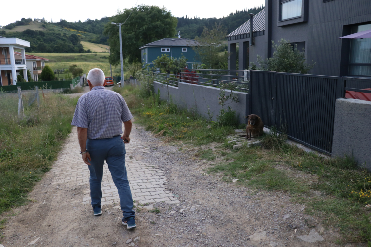 Anne ve kızları başıboş köpeklerin sakdırısından mağdur oldu