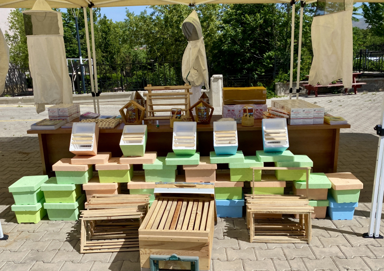 Kırşehir'de bal verimini artırmak için üreticilere ana arı dağıtıldı