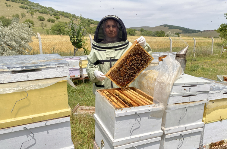 Kervansaray Dağları eteğinde arıcılık yapan kadın girişimci arı sütü üretimini artırdı