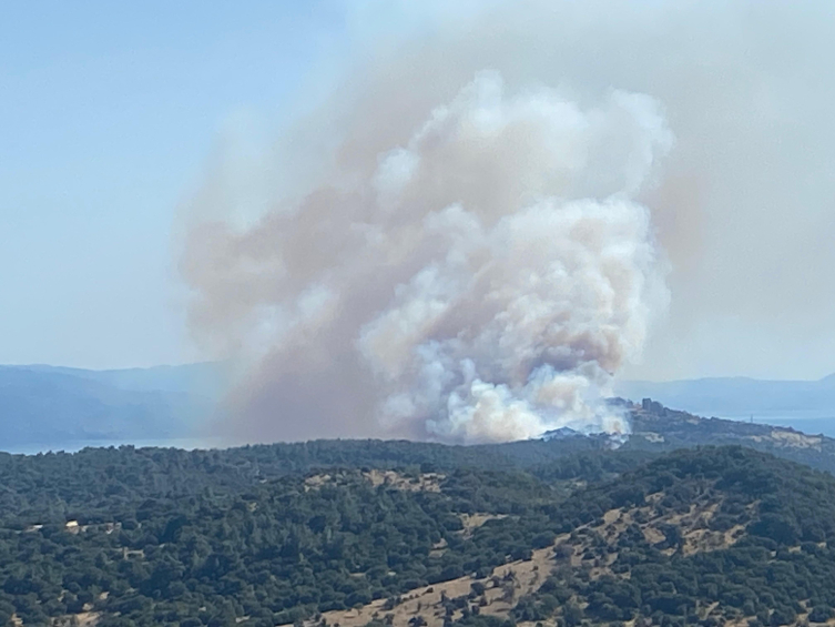 Ayvacık'ın Behram köyünde yangın