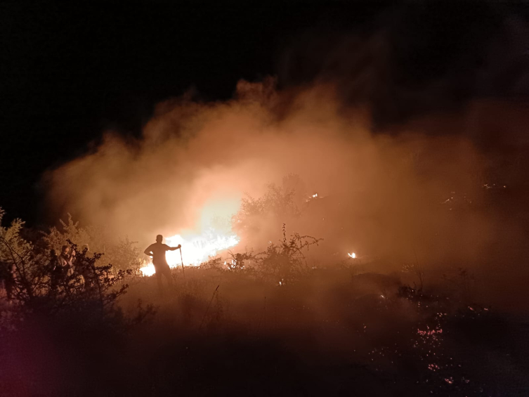 Elazığ'da orman ve mera alanında yangın