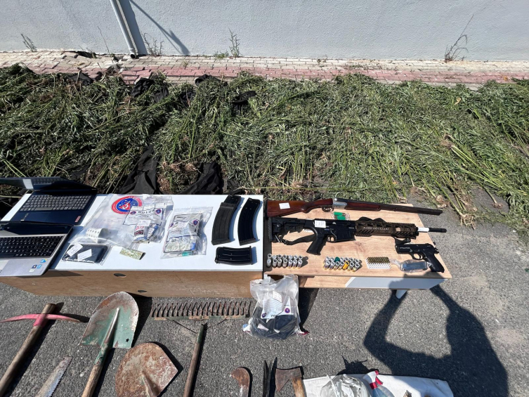 Çatalca'da 2 bin 120 kök kenevir ele geçirildi