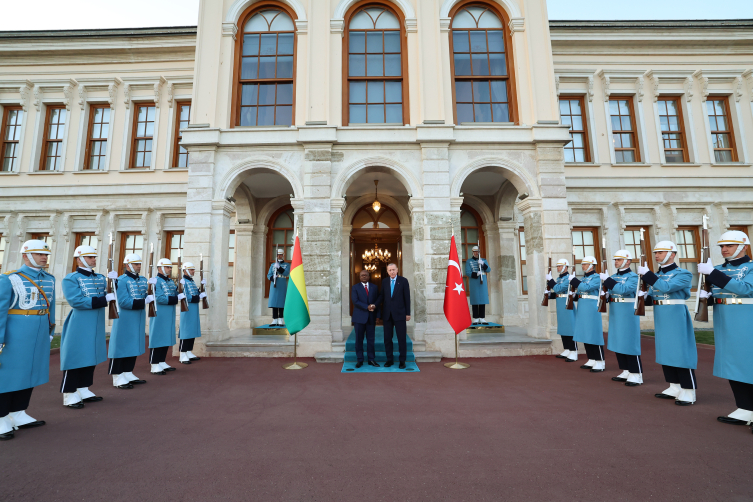 Cumhurbaşkanı Erdoğan, Gine Bissau Devlet Başkanı Embalo'yla görüştü