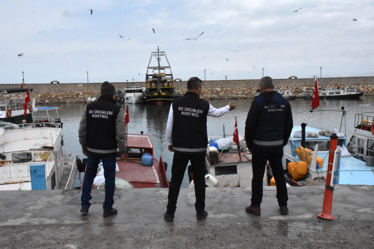 İnci kefalinin göç yolculuğuna sıkı takip
