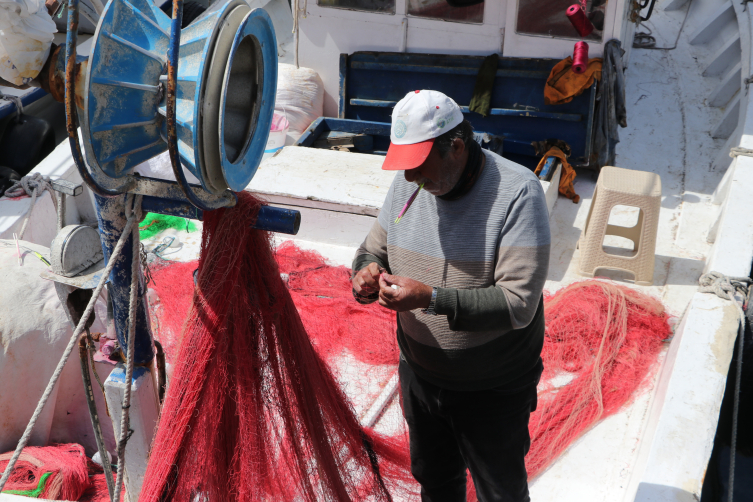 Tekirdağlı balıkçılar umduğunu Karadeniz'de buldu