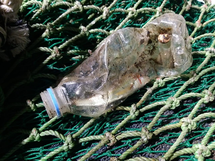 Karadeniz'de plastik üzerinde yaşayan 55 mikroorganizma tespit edildi