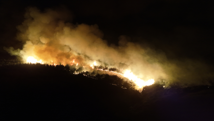 Tekirdağ'daki orman yangınına müdahele sürüyor