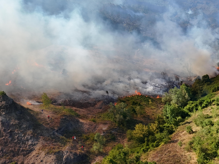 7 ilde orman yangını