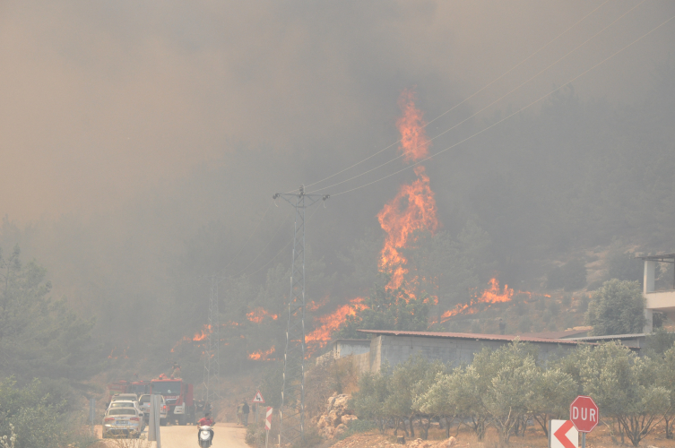 7 ilde orman yangını
