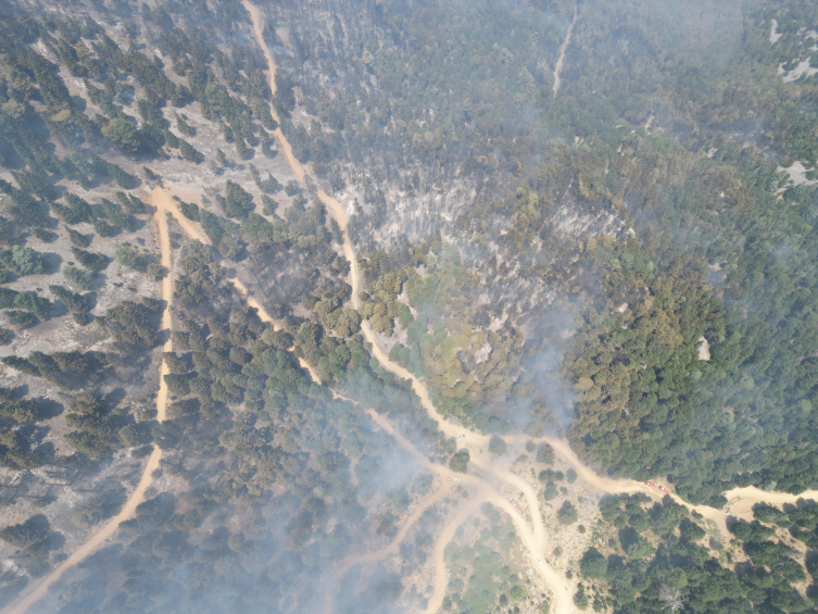 6 ilde orman yangını