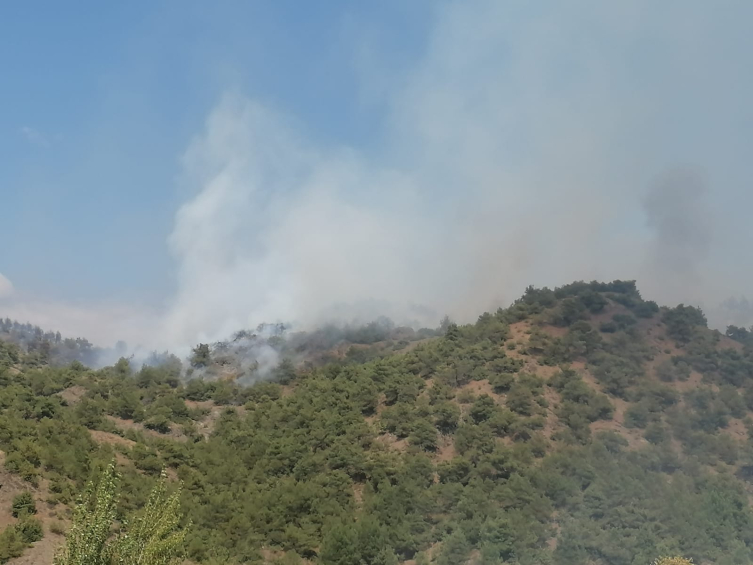 Tokat'ta orman yangını