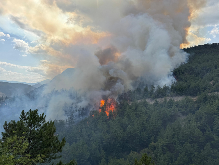 Karabük'te yeniden orman yangını