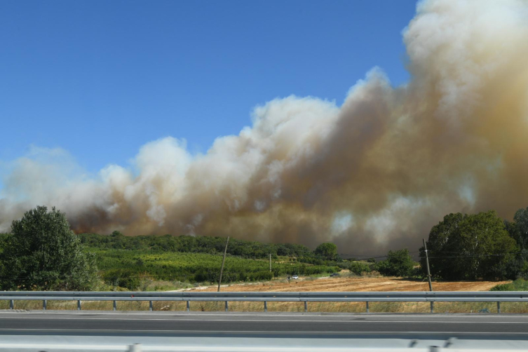 Çanakkale'de orman yangını