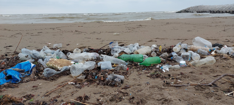 Karadeniz kıyılarının deniz çöpü haritası çıkarıldı