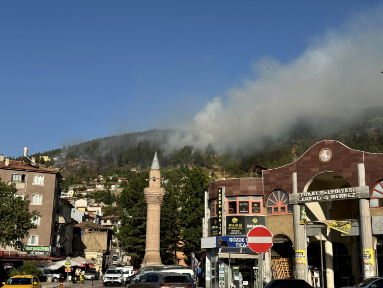 Tokat'taki orman yangını kontrol altına alındı