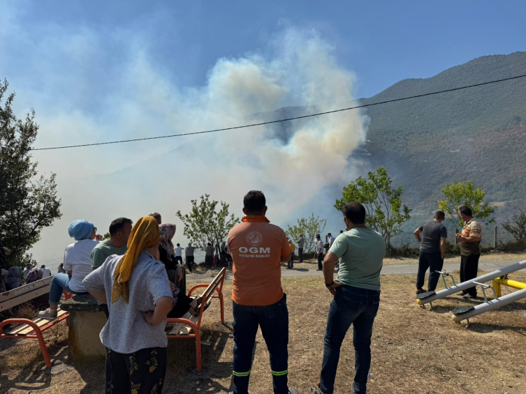 Bartın'da orman yangını