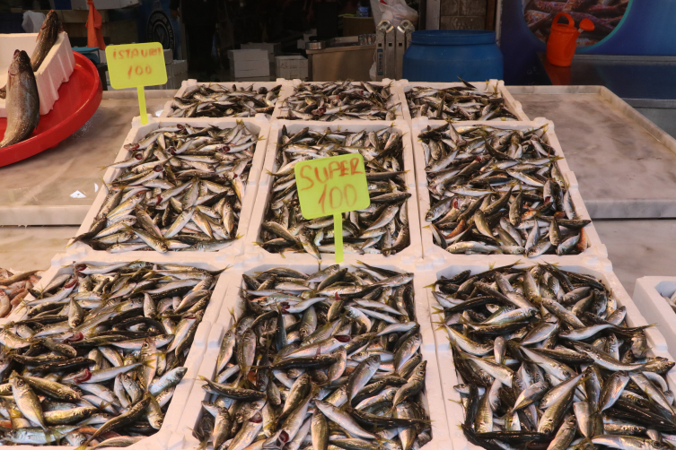 Balıkçıların tezgahlarında yeni sezonda en çok istavrit yer alıyor