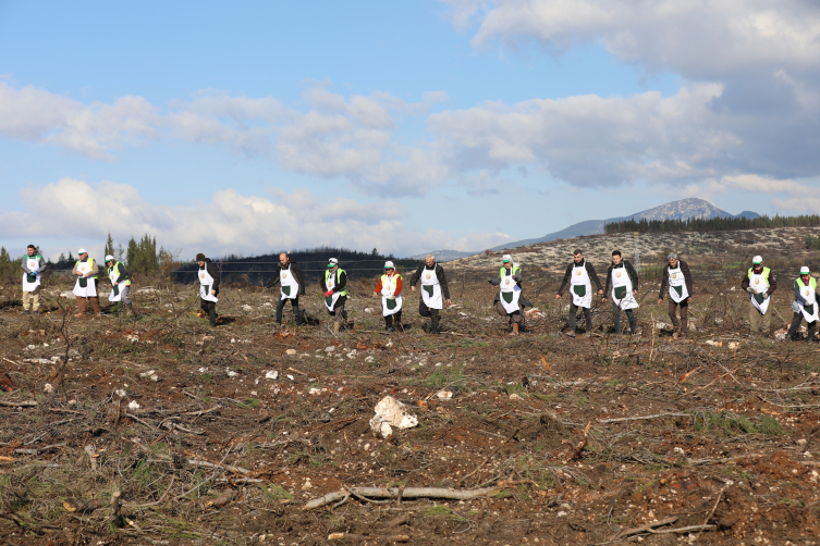 İzmir'de orman yangınlarında zarar gören alanlar yeni fidanlar için hazırlanıyor