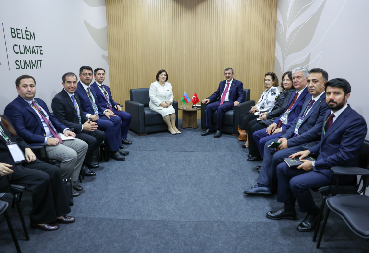 Cumhurbaşkanı Yardımcısı Yılmaz’dan Brezilya’da ikili görüşmeler