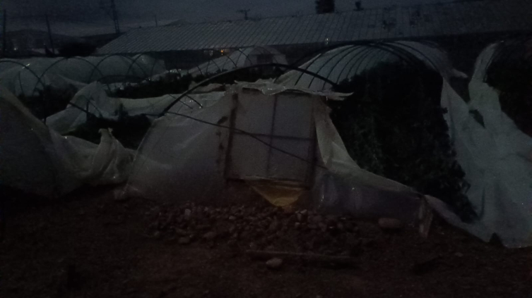 Mersin’de hortum: Seralar zarar gördü